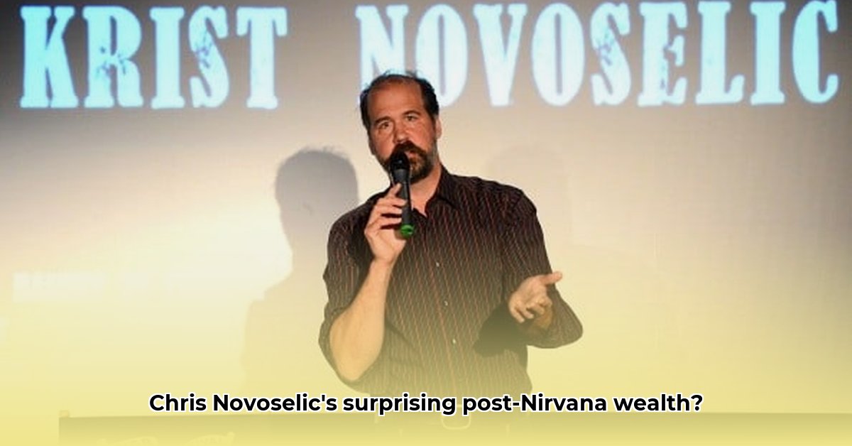 chris-novoselic-net-worth
